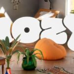 a room with plants and seats, 'hozy' in the background